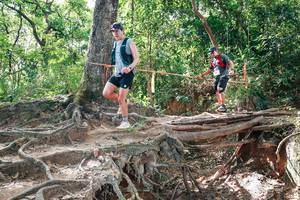 BIB: 
                            <button type="button" onclick="openModal(27719843)" class="btn btn-primary btn-sm float-right btn-popup" data-toggle="modal" data-target=".modal-high-quality">
                        <i class="fas fa-shopping-cart"></i> Add to Cart
                    </button>
                                            <button type="button" onclick="isThisMe(27719843, true)" class="btn btn-success btn-sm float-right btn-popup btn-isme hidden" data-toggle="tooltip" data-placement="bottom" title="นี่คือรูปของคุณใช่ไหม คลิกที่นี่เพื่อเอาเข้าอัลบั้ม">
                        <i class="fas fa-plus"></i> Add to album
                    </button>
                    <button type="button" onclick="isThisMe(27719843, false)" class="btn btn-warning btn-sm float-right btn-popup btn-isnotme hidden">
                        <i class="fas fa-ban"></i> Remove from album
                    </button>